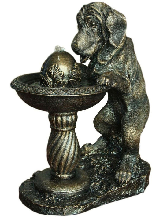 Solar Dog at Fountain